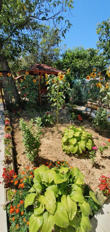 Balla House Bed & Breakfast Tarcaia Ngoại thất bức ảnh