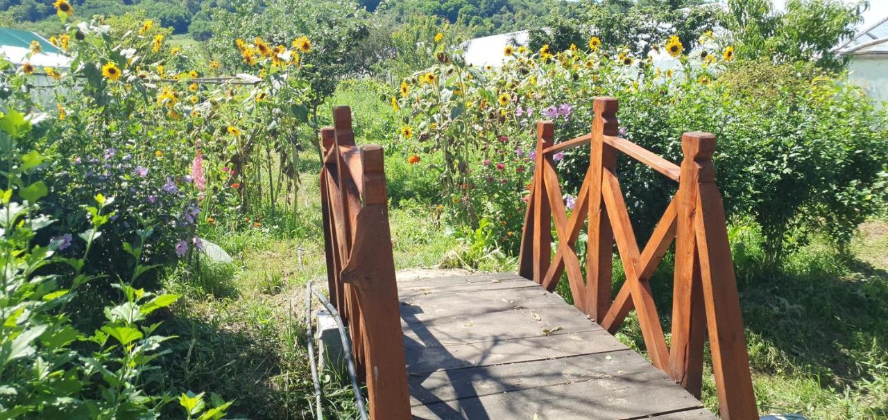Balla House Bed & Breakfast Tarcaia Ngoại thất bức ảnh